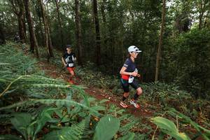 BIB: 
                            <button type="button" onclick="openModal(22533411)" class="btn btn-primary btn-sm float-right btn-popup" data-toggle="modal" data-target=".modal-high-quality">
                        <i class="fas fa-shopping-cart"></i> Add to Cart
                    </button>
                                            <button type="button" onclick="isThisMe(22533411, true)" class="btn btn-success btn-sm float-right btn-popup btn-isme hidden" data-toggle="tooltip" data-placement="bottom" title="นี่คือรูปของคุณใช่ไหม คลิกที่นี่เพื่อเอาเข้าอัลบั้ม">
                        <i class="fas fa-plus"></i> Add to album
                    </button>
                    <button type="button" onclick="isThisMe(22533411, false)" class="btn btn-warning btn-sm float-right btn-popup btn-isnotme hidden">
                        <i class="fas fa-ban"></i> Remove from album
                    </button>