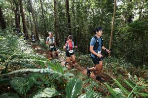 BIB: 
                            <button type="button" onclick="openModal(22547429)" class="btn btn-primary btn-sm float-right btn-popup" data-toggle="modal" data-target=".modal-high-quality">
                        <i class="fas fa-shopping-cart"></i> Add to Cart
                    </button>
                                            <button type="button" onclick="isThisMe(22547429, true)" class="btn btn-success btn-sm float-right btn-popup btn-isme hidden" data-toggle="tooltip" data-placement="bottom" title="นี่คือรูปของคุณใช่ไหม คลิกที่นี่เพื่อเอาเข้าอัลบั้ม">
                        <i class="fas fa-plus"></i> Add to album
                    </button>
                    <button type="button" onclick="isThisMe(22547429, false)" class="btn btn-warning btn-sm float-right btn-popup btn-isnotme hidden">
                        <i class="fas fa-ban"></i> Remove from album
                    </button>