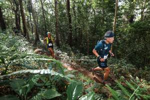 BIB: 
                            <button type="button" onclick="openModal(22547060)" class="btn btn-primary btn-sm float-right btn-popup" data-toggle="modal" data-target=".modal-high-quality">
                        <i class="fas fa-shopping-cart"></i> Add to Cart
                    </button>
                                            <button type="button" onclick="isThisMe(22547060, true)" class="btn btn-success btn-sm float-right btn-popup btn-isme hidden" data-toggle="tooltip" data-placement="bottom" title="นี่คือรูปของคุณใช่ไหม คลิกที่นี่เพื่อเอาเข้าอัลบั้ม">
                        <i class="fas fa-plus"></i> Add to album
                    </button>
                    <button type="button" onclick="isThisMe(22547060, false)" class="btn btn-warning btn-sm float-right btn-popup btn-isnotme hidden">
                        <i class="fas fa-ban"></i> Remove from album
                    </button>