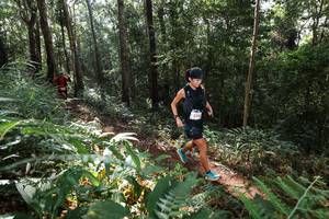 BIB: 5513
                            <button type="button" onclick="openModal(22544564)" class="btn btn-primary btn-sm float-right btn-popup" data-toggle="modal" data-target=".modal-high-quality">
                        <i class="fas fa-shopping-cart"></i> Add to Cart
                    </button>
                                            <button type="button" onclick="isThisMe(22544564, true)" class="btn btn-success btn-sm float-right btn-popup btn-isme hidden" data-toggle="tooltip" data-placement="bottom" title="นี่คือรูปของคุณใช่ไหม คลิกที่นี่เพื่อเอาเข้าอัลบั้ม">
                        <i class="fas fa-plus"></i> Add to album
                    </button>
                    <button type="button" onclick="isThisMe(22544564, false)" class="btn btn-warning btn-sm float-right btn-popup btn-isnotme hidden">
                        <i class="fas fa-ban"></i> Remove from album
                    </button>