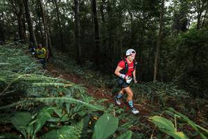 BIB: 
                            <button type="button" onclick="openModal(22537581)" class="btn btn-primary btn-sm float-right btn-popup" data-toggle="modal" data-target=".modal-high-quality">
                        <i class="fas fa-shopping-cart"></i> Add to Cart
                    </button>
                                            <button type="button" onclick="isThisMe(22537581, true)" class="btn btn-success btn-sm float-right btn-popup btn-isme hidden" data-toggle="tooltip" data-placement="bottom" title="นี่คือรูปของคุณใช่ไหม คลิกที่นี่เพื่อเอาเข้าอัลบั้ม">
                        <i class="fas fa-plus"></i> Add to album
                    </button>
                    <button type="button" onclick="isThisMe(22537581, false)" class="btn btn-warning btn-sm float-right btn-popup btn-isnotme hidden">
                        <i class="fas fa-ban"></i> Remove from album
                    </button>