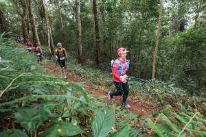 BIB: 
                            <button type="button" onclick="openModal(22581068)" class="btn btn-primary btn-sm float-right btn-popup" data-toggle="modal" data-target=".modal-high-quality">
                        <i class="fas fa-shopping-cart"></i> Add to Cart
                    </button>
                                            <button type="button" onclick="isThisMe(22581068, true)" class="btn btn-success btn-sm float-right btn-popup btn-isme hidden" data-toggle="tooltip" data-placement="bottom" title="นี่คือรูปของคุณใช่ไหม คลิกที่นี่เพื่อเอาเข้าอัลบั้ม">
                        <i class="fas fa-plus"></i> Add to album
                    </button>
                    <button type="button" onclick="isThisMe(22581068, false)" class="btn btn-warning btn-sm float-right btn-popup btn-isnotme hidden">
                        <i class="fas fa-ban"></i> Remove from album
                    </button>