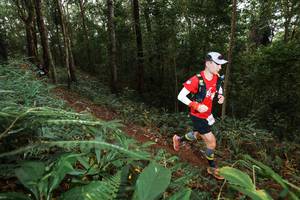 BIB: 
                            <button type="button" onclick="openModal(22533657)" class="btn btn-primary btn-sm float-right btn-popup" data-toggle="modal" data-target=".modal-high-quality">
                        <i class="fas fa-shopping-cart"></i> Add to Cart
                    </button>
                                            <button type="button" onclick="isThisMe(22533657, true)" class="btn btn-success btn-sm float-right btn-popup btn-isme hidden" data-toggle="tooltip" data-placement="bottom" title="นี่คือรูปของคุณใช่ไหม คลิกที่นี่เพื่อเอาเข้าอัลบั้ม">
                        <i class="fas fa-plus"></i> Add to album
                    </button>
                    <button type="button" onclick="isThisMe(22533657, false)" class="btn btn-warning btn-sm float-right btn-popup btn-isnotme hidden">
                        <i class="fas fa-ban"></i> Remove from album
                    </button>