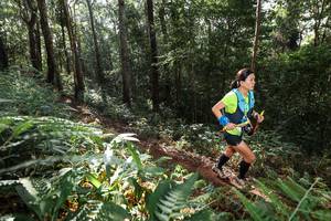 BIB: 
                            <button type="button" onclick="openModal(22544265)" class="btn btn-primary btn-sm float-right btn-popup" data-toggle="modal" data-target=".modal-high-quality">
                        <i class="fas fa-shopping-cart"></i> Add to Cart
                    </button>
                                            <button type="button" onclick="isThisMe(22544265, true)" class="btn btn-success btn-sm float-right btn-popup btn-isme hidden" data-toggle="tooltip" data-placement="bottom" title="นี่คือรูปของคุณใช่ไหม คลิกที่นี่เพื่อเอาเข้าอัลบั้ม">
                        <i class="fas fa-plus"></i> Add to album
                    </button>
                    <button type="button" onclick="isThisMe(22544265, false)" class="btn btn-warning btn-sm float-right btn-popup btn-isnotme hidden">
                        <i class="fas fa-ban"></i> Remove from album
                    </button>