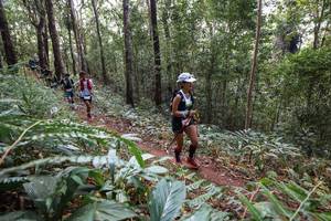 BIB: 
                            <button type="button" onclick="openModal(22564738)" class="btn btn-primary btn-sm float-right btn-popup" data-toggle="modal" data-target=".modal-high-quality">
                        <i class="fas fa-shopping-cart"></i> Add to Cart
                    </button>
                                            <button type="button" onclick="isThisMe(22564738, true)" class="btn btn-success btn-sm float-right btn-popup btn-isme hidden" data-toggle="tooltip" data-placement="bottom" title="นี่คือรูปของคุณใช่ไหม คลิกที่นี่เพื่อเอาเข้าอัลบั้ม">
                        <i class="fas fa-plus"></i> Add to album
                    </button>
                    <button type="button" onclick="isThisMe(22564738, false)" class="btn btn-warning btn-sm float-right btn-popup btn-isnotme hidden">
                        <i class="fas fa-ban"></i> Remove from album
                    </button>