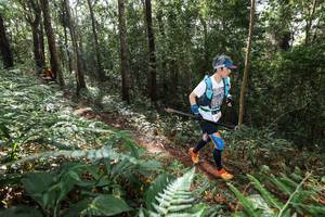 BIB: 
                            <button type="button" onclick="openModal(22546803)" class="btn btn-primary btn-sm float-right btn-popup" data-toggle="modal" data-target=".modal-high-quality">
                        <i class="fas fa-shopping-cart"></i> Add to Cart
                    </button>
                                            <button type="button" onclick="isThisMe(22546803, true)" class="btn btn-success btn-sm float-right btn-popup btn-isme hidden" data-toggle="tooltip" data-placement="bottom" title="นี่คือรูปของคุณใช่ไหม คลิกที่นี่เพื่อเอาเข้าอัลบั้ม">
                        <i class="fas fa-plus"></i> Add to album
                    </button>
                    <button type="button" onclick="isThisMe(22546803, false)" class="btn btn-warning btn-sm float-right btn-popup btn-isnotme hidden">
                        <i class="fas fa-ban"></i> Remove from album
                    </button>