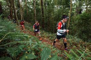 BIB: 
                            <button type="button" onclick="openModal(22569605)" class="btn btn-primary btn-sm float-right btn-popup" data-toggle="modal" data-target=".modal-high-quality">
                        <i class="fas fa-shopping-cart"></i> Add to Cart
                    </button>
                                            <button type="button" onclick="isThisMe(22569605, true)" class="btn btn-success btn-sm float-right btn-popup btn-isme hidden" data-toggle="tooltip" data-placement="bottom" title="นี่คือรูปของคุณใช่ไหม คลิกที่นี่เพื่อเอาเข้าอัลบั้ม">
                        <i class="fas fa-plus"></i> Add to album
                    </button>
                    <button type="button" onclick="isThisMe(22569605, false)" class="btn btn-warning btn-sm float-right btn-popup btn-isnotme hidden">
                        <i class="fas fa-ban"></i> Remove from album
                    </button>