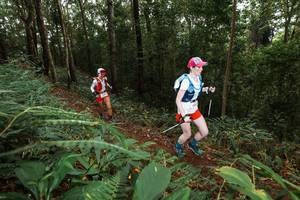 BIB: 
                            <button type="button" onclick="openModal(22536713)" class="btn btn-primary btn-sm float-right btn-popup" data-toggle="modal" data-target=".modal-high-quality">
                        <i class="fas fa-shopping-cart"></i> Add to Cart
                    </button>
                                            <button type="button" onclick="isThisMe(22536713, true)" class="btn btn-success btn-sm float-right btn-popup btn-isme hidden" data-toggle="tooltip" data-placement="bottom" title="นี่คือรูปของคุณใช่ไหม คลิกที่นี่เพื่อเอาเข้าอัลบั้ม">
                        <i class="fas fa-plus"></i> Add to album
                    </button>
                    <button type="button" onclick="isThisMe(22536713, false)" class="btn btn-warning btn-sm float-right btn-popup btn-isnotme hidden">
                        <i class="fas fa-ban"></i> Remove from album
                    </button>