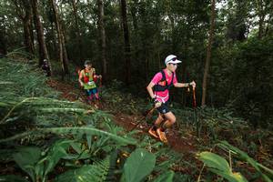 BIB: 
                            <button type="button" onclick="openModal(22533296)" class="btn btn-primary btn-sm float-right btn-popup" data-toggle="modal" data-target=".modal-high-quality">
                        <i class="fas fa-shopping-cart"></i> Add to Cart
                    </button>
                                            <button type="button" onclick="isThisMe(22533296, true)" class="btn btn-success btn-sm float-right btn-popup btn-isme hidden" data-toggle="tooltip" data-placement="bottom" title="นี่คือรูปของคุณใช่ไหม คลิกที่นี่เพื่อเอาเข้าอัลบั้ม">
                        <i class="fas fa-plus"></i> Add to album
                    </button>
                    <button type="button" onclick="isThisMe(22533296, false)" class="btn btn-warning btn-sm float-right btn-popup btn-isnotme hidden">
                        <i class="fas fa-ban"></i> Remove from album
                    </button>