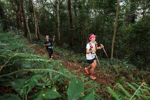 BIB: 
                            <button type="button" onclick="openModal(22583302)" class="btn btn-primary btn-sm float-right btn-popup" data-toggle="modal" data-target=".modal-high-quality">
                        <i class="fas fa-shopping-cart"></i> Add to Cart
                    </button>
                                            <button type="button" onclick="isThisMe(22583302, true)" class="btn btn-success btn-sm float-right btn-popup btn-isme hidden" data-toggle="tooltip" data-placement="bottom" title="นี่คือรูปของคุณใช่ไหม คลิกที่นี่เพื่อเอาเข้าอัลบั้ม">
                        <i class="fas fa-plus"></i> Add to album
                    </button>
                    <button type="button" onclick="isThisMe(22583302, false)" class="btn btn-warning btn-sm float-right btn-popup btn-isnotme hidden">
                        <i class="fas fa-ban"></i> Remove from album
                    </button>