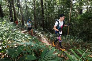 BIB: 
                            <button type="button" onclick="openModal(22546454)" class="btn btn-primary btn-sm float-right btn-popup" data-toggle="modal" data-target=".modal-high-quality">
                        <i class="fas fa-shopping-cart"></i> Add to Cart
                    </button>
                                            <button type="button" onclick="isThisMe(22546454, true)" class="btn btn-success btn-sm float-right btn-popup btn-isme hidden" data-toggle="tooltip" data-placement="bottom" title="นี่คือรูปของคุณใช่ไหม คลิกที่นี่เพื่อเอาเข้าอัลบั้ม">
                        <i class="fas fa-plus"></i> Add to album
                    </button>
                    <button type="button" onclick="isThisMe(22546454, false)" class="btn btn-warning btn-sm float-right btn-popup btn-isnotme hidden">
                        <i class="fas fa-ban"></i> Remove from album
                    </button>