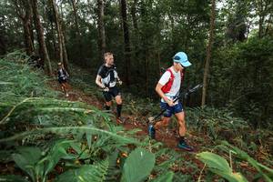 BIB: 
                            <button type="button" onclick="openModal(22538436)" class="btn btn-primary btn-sm float-right btn-popup" data-toggle="modal" data-target=".modal-high-quality">
                        <i class="fas fa-shopping-cart"></i> Add to Cart
                    </button>
                                            <button type="button" onclick="isThisMe(22538436, true)" class="btn btn-success btn-sm float-right btn-popup btn-isme hidden" data-toggle="tooltip" data-placement="bottom" title="นี่คือรูปของคุณใช่ไหม คลิกที่นี่เพื่อเอาเข้าอัลบั้ม">
                        <i class="fas fa-plus"></i> Add to album
                    </button>
                    <button type="button" onclick="isThisMe(22538436, false)" class="btn btn-warning btn-sm float-right btn-popup btn-isnotme hidden">
                        <i class="fas fa-ban"></i> Remove from album
                    </button>