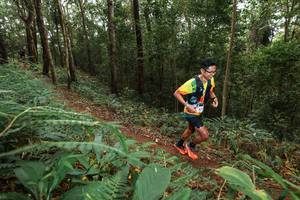 BIB: 
                            <button type="button" onclick="openModal(22534993)" class="btn btn-primary btn-sm float-right btn-popup" data-toggle="modal" data-target=".modal-high-quality">
                        <i class="fas fa-shopping-cart"></i> Add to Cart
                    </button>
                                            <button type="button" onclick="isThisMe(22534993, true)" class="btn btn-success btn-sm float-right btn-popup btn-isme hidden" data-toggle="tooltip" data-placement="bottom" title="นี่คือรูปของคุณใช่ไหม คลิกที่นี่เพื่อเอาเข้าอัลบั้ม">
                        <i class="fas fa-plus"></i> Add to album
                    </button>
                    <button type="button" onclick="isThisMe(22534993, false)" class="btn btn-warning btn-sm float-right btn-popup btn-isnotme hidden">
                        <i class="fas fa-ban"></i> Remove from album
                    </button>