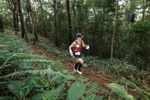 BIB: 
                            <button type="button" onclick="openModal(22541898)" class="btn btn-primary btn-sm float-right btn-popup" data-toggle="modal" data-target=".modal-high-quality">
                        <i class="fas fa-shopping-cart"></i> Add to Cart
                    </button>
                                            <button type="button" onclick="isThisMe(22541898, true)" class="btn btn-success btn-sm float-right btn-popup btn-isme hidden" data-toggle="tooltip" data-placement="bottom" title="นี่คือรูปของคุณใช่ไหม คลิกที่นี่เพื่อเอาเข้าอัลบั้ม">
                        <i class="fas fa-plus"></i> Add to album
                    </button>
                    <button type="button" onclick="isThisMe(22541898, false)" class="btn btn-warning btn-sm float-right btn-popup btn-isnotme hidden">
                        <i class="fas fa-ban"></i> Remove from album
                    </button>