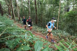 BIB: 
                            <button type="button" onclick="openModal(22580359)" class="btn btn-primary btn-sm float-right btn-popup" data-toggle="modal" data-target=".modal-high-quality">
                        <i class="fas fa-shopping-cart"></i> Add to Cart
                    </button>
                                            <button type="button" onclick="isThisMe(22580359, true)" class="btn btn-success btn-sm float-right btn-popup btn-isme hidden" data-toggle="tooltip" data-placement="bottom" title="นี่คือรูปของคุณใช่ไหม คลิกที่นี่เพื่อเอาเข้าอัลบั้ม">
                        <i class="fas fa-plus"></i> Add to album
                    </button>
                    <button type="button" onclick="isThisMe(22580359, false)" class="btn btn-warning btn-sm float-right btn-popup btn-isnotme hidden">
                        <i class="fas fa-ban"></i> Remove from album
                    </button>