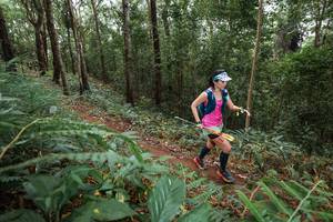 BIB: 
                            <button type="button" onclick="openModal(22568155)" class="btn btn-primary btn-sm float-right btn-popup" data-toggle="modal" data-target=".modal-high-quality">
                        <i class="fas fa-shopping-cart"></i> Add to Cart
                    </button>
                                            <button type="button" onclick="isThisMe(22568155, true)" class="btn btn-success btn-sm float-right btn-popup btn-isme hidden" data-toggle="tooltip" data-placement="bottom" title="นี่คือรูปของคุณใช่ไหม คลิกที่นี่เพื่อเอาเข้าอัลบั้ม">
                        <i class="fas fa-plus"></i> Add to album
                    </button>
                    <button type="button" onclick="isThisMe(22568155, false)" class="btn btn-warning btn-sm float-right btn-popup btn-isnotme hidden">
                        <i class="fas fa-ban"></i> Remove from album
                    </button>