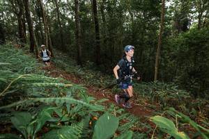 BIB: 
                            <button type="button" onclick="openModal(22537331)" class="btn btn-primary btn-sm float-right btn-popup" data-toggle="modal" data-target=".modal-high-quality">
                        <i class="fas fa-shopping-cart"></i> Add to Cart
                    </button>
                                            <button type="button" onclick="isThisMe(22537331, true)" class="btn btn-success btn-sm float-right btn-popup btn-isme hidden" data-toggle="tooltip" data-placement="bottom" title="นี่คือรูปของคุณใช่ไหม คลิกที่นี่เพื่อเอาเข้าอัลบั้ม">
                        <i class="fas fa-plus"></i> Add to album
                    </button>
                    <button type="button" onclick="isThisMe(22537331, false)" class="btn btn-warning btn-sm float-right btn-popup btn-isnotme hidden">
                        <i class="fas fa-ban"></i> Remove from album
                    </button>