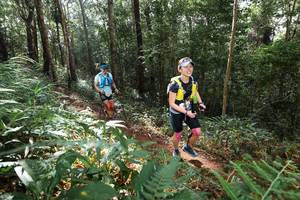 BIB: 
                            <button type="button" onclick="openModal(22544955)" class="btn btn-primary btn-sm float-right btn-popup" data-toggle="modal" data-target=".modal-high-quality">
                        <i class="fas fa-shopping-cart"></i> Add to Cart
                    </button>
                                            <button type="button" onclick="isThisMe(22544955, true)" class="btn btn-success btn-sm float-right btn-popup btn-isme hidden" data-toggle="tooltip" data-placement="bottom" title="นี่คือรูปของคุณใช่ไหม คลิกที่นี่เพื่อเอาเข้าอัลบั้ม">
                        <i class="fas fa-plus"></i> Add to album
                    </button>
                    <button type="button" onclick="isThisMe(22544955, false)" class="btn btn-warning btn-sm float-right btn-popup btn-isnotme hidden">
                        <i class="fas fa-ban"></i> Remove from album
                    </button>