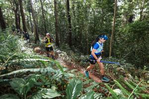 BIB: 
                            <button type="button" onclick="openModal(22563170)" class="btn btn-primary btn-sm float-right btn-popup" data-toggle="modal" data-target=".modal-high-quality">
                        <i class="fas fa-shopping-cart"></i> Add to Cart
                    </button>
                                            <button type="button" onclick="isThisMe(22563170, true)" class="btn btn-success btn-sm float-right btn-popup btn-isme hidden" data-toggle="tooltip" data-placement="bottom" title="นี่คือรูปของคุณใช่ไหม คลิกที่นี่เพื่อเอาเข้าอัลบั้ม">
                        <i class="fas fa-plus"></i> Add to album
                    </button>
                    <button type="button" onclick="isThisMe(22563170, false)" class="btn btn-warning btn-sm float-right btn-popup btn-isnotme hidden">
                        <i class="fas fa-ban"></i> Remove from album
                    </button>