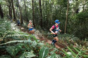 BIB: 
                            <button type="button" onclick="openModal(22562899)" class="btn btn-primary btn-sm float-right btn-popup" data-toggle="modal" data-target=".modal-high-quality">
                        <i class="fas fa-shopping-cart"></i> Add to Cart
                    </button>
                                            <button type="button" onclick="isThisMe(22562899, true)" class="btn btn-success btn-sm float-right btn-popup btn-isme hidden" data-toggle="tooltip" data-placement="bottom" title="นี่คือรูปของคุณใช่ไหม คลิกที่นี่เพื่อเอาเข้าอัลบั้ม">
                        <i class="fas fa-plus"></i> Add to album
                    </button>
                    <button type="button" onclick="isThisMe(22562899, false)" class="btn btn-warning btn-sm float-right btn-popup btn-isnotme hidden">
                        <i class="fas fa-ban"></i> Remove from album
                    </button>