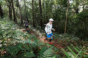 BIB: 
                            <button type="button" onclick="openModal(22546641)" class="btn btn-primary btn-sm float-right btn-popup" data-toggle="modal" data-target=".modal-high-quality">
                        <i class="fas fa-shopping-cart"></i> Add to Cart
                    </button>
                                            <button type="button" onclick="isThisMe(22546641, true)" class="btn btn-success btn-sm float-right btn-popup btn-isme hidden" data-toggle="tooltip" data-placement="bottom" title="นี่คือรูปของคุณใช่ไหม คลิกที่นี่เพื่อเอาเข้าอัลบั้ม">
                        <i class="fas fa-plus"></i> Add to album
                    </button>
                    <button type="button" onclick="isThisMe(22546641, false)" class="btn btn-warning btn-sm float-right btn-popup btn-isnotme hidden">
                        <i class="fas fa-ban"></i> Remove from album
                    </button>