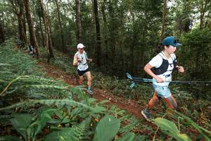 BIB: 
                            <button type="button" onclick="openModal(22534769)" class="btn btn-primary btn-sm float-right btn-popup" data-toggle="modal" data-target=".modal-high-quality">
                        <i class="fas fa-shopping-cart"></i> Add to Cart
                    </button>
                                            <button type="button" onclick="isThisMe(22534769, true)" class="btn btn-success btn-sm float-right btn-popup btn-isme hidden" data-toggle="tooltip" data-placement="bottom" title="นี่คือรูปของคุณใช่ไหม คลิกที่นี่เพื่อเอาเข้าอัลบั้ม">
                        <i class="fas fa-plus"></i> Add to album
                    </button>
                    <button type="button" onclick="isThisMe(22534769, false)" class="btn btn-warning btn-sm float-right btn-popup btn-isnotme hidden">
                        <i class="fas fa-ban"></i> Remove from album
                    </button>