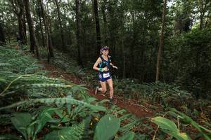 BIB: 
                            <button type="button" onclick="openModal(22536431)" class="btn btn-primary btn-sm float-right btn-popup" data-toggle="modal" data-target=".modal-high-quality">
                        <i class="fas fa-shopping-cart"></i> Add to Cart
                    </button>
                                            <button type="button" onclick="isThisMe(22536431, true)" class="btn btn-success btn-sm float-right btn-popup btn-isme hidden" data-toggle="tooltip" data-placement="bottom" title="นี่คือรูปของคุณใช่ไหม คลิกที่นี่เพื่อเอาเข้าอัลบั้ม">
                        <i class="fas fa-plus"></i> Add to album
                    </button>
                    <button type="button" onclick="isThisMe(22536431, false)" class="btn btn-warning btn-sm float-right btn-popup btn-isnotme hidden">
                        <i class="fas fa-ban"></i> Remove from album
                    </button>