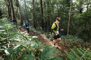 BIB: 
                            <button type="button" onclick="openModal(22545362)" class="btn btn-primary btn-sm float-right btn-popup" data-toggle="modal" data-target=".modal-high-quality">
                        <i class="fas fa-shopping-cart"></i> Add to Cart
                    </button>
                                            <button type="button" onclick="isThisMe(22545362, true)" class="btn btn-success btn-sm float-right btn-popup btn-isme hidden" data-toggle="tooltip" data-placement="bottom" title="นี่คือรูปของคุณใช่ไหม คลิกที่นี่เพื่อเอาเข้าอัลบั้ม">
                        <i class="fas fa-plus"></i> Add to album
                    </button>
                    <button type="button" onclick="isThisMe(22545362, false)" class="btn btn-warning btn-sm float-right btn-popup btn-isnotme hidden">
                        <i class="fas fa-ban"></i> Remove from album
                    </button>