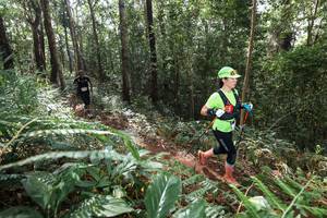 BIB: 
                            <button type="button" onclick="openModal(22563547)" class="btn btn-primary btn-sm float-right btn-popup" data-toggle="modal" data-target=".modal-high-quality">
                        <i class="fas fa-shopping-cart"></i> Add to Cart
                    </button>
                                            <button type="button" onclick="isThisMe(22563547, true)" class="btn btn-success btn-sm float-right btn-popup btn-isme hidden" data-toggle="tooltip" data-placement="bottom" title="นี่คือรูปของคุณใช่ไหม คลิกที่นี่เพื่อเอาเข้าอัลบั้ม">
                        <i class="fas fa-plus"></i> Add to album
                    </button>
                    <button type="button" onclick="isThisMe(22563547, false)" class="btn btn-warning btn-sm float-right btn-popup btn-isnotme hidden">
                        <i class="fas fa-ban"></i> Remove from album
                    </button>