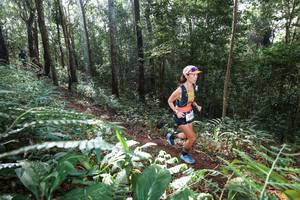 BIB: 
                            <button type="button" onclick="openModal(22543540)" class="btn btn-primary btn-sm float-right btn-popup" data-toggle="modal" data-target=".modal-high-quality">
                        <i class="fas fa-shopping-cart"></i> Add to Cart
                    </button>
                                            <button type="button" onclick="isThisMe(22543540, true)" class="btn btn-success btn-sm float-right btn-popup btn-isme hidden" data-toggle="tooltip" data-placement="bottom" title="นี่คือรูปของคุณใช่ไหม คลิกที่นี่เพื่อเอาเข้าอัลบั้ม">
                        <i class="fas fa-plus"></i> Add to album
                    </button>
                    <button type="button" onclick="isThisMe(22543540, false)" class="btn btn-warning btn-sm float-right btn-popup btn-isnotme hidden">
                        <i class="fas fa-ban"></i> Remove from album
                    </button>