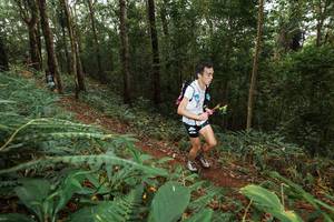 BIB: 
                            <button type="button" onclick="openModal(22534269)" class="btn btn-primary btn-sm float-right btn-popup" data-toggle="modal" data-target=".modal-high-quality">
                        <i class="fas fa-shopping-cart"></i> Add to Cart
                    </button>
                                            <button type="button" onclick="isThisMe(22534269, true)" class="btn btn-success btn-sm float-right btn-popup btn-isme hidden" data-toggle="tooltip" data-placement="bottom" title="นี่คือรูปของคุณใช่ไหม คลิกที่นี่เพื่อเอาเข้าอัลบั้ม">
                        <i class="fas fa-plus"></i> Add to album
                    </button>
                    <button type="button" onclick="isThisMe(22534269, false)" class="btn btn-warning btn-sm float-right btn-popup btn-isnotme hidden">
                        <i class="fas fa-ban"></i> Remove from album
                    </button>