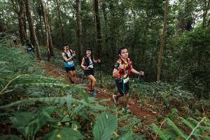 BIB: 
                            <button type="button" onclick="openModal(22584577)" class="btn btn-primary btn-sm float-right btn-popup" data-toggle="modal" data-target=".modal-high-quality">
                        <i class="fas fa-shopping-cart"></i> Add to Cart
                    </button>
                                            <button type="button" onclick="isThisMe(22584577, true)" class="btn btn-success btn-sm float-right btn-popup btn-isme hidden" data-toggle="tooltip" data-placement="bottom" title="นี่คือรูปของคุณใช่ไหม คลิกที่นี่เพื่อเอาเข้าอัลบั้ม">
                        <i class="fas fa-plus"></i> Add to album
                    </button>
                    <button type="button" onclick="isThisMe(22584577, false)" class="btn btn-warning btn-sm float-right btn-popup btn-isnotme hidden">
                        <i class="fas fa-ban"></i> Remove from album
                    </button>