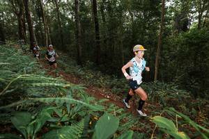 BIB: 
                            <button type="button" onclick="openModal(22533085)" class="btn btn-primary btn-sm float-right btn-popup" data-toggle="modal" data-target=".modal-high-quality">
                        <i class="fas fa-shopping-cart"></i> Add to Cart
                    </button>
                                            <button type="button" onclick="isThisMe(22533085, true)" class="btn btn-success btn-sm float-right btn-popup btn-isme hidden" data-toggle="tooltip" data-placement="bottom" title="นี่คือรูปของคุณใช่ไหม คลิกที่นี่เพื่อเอาเข้าอัลบั้ม">
                        <i class="fas fa-plus"></i> Add to album
                    </button>
                    <button type="button" onclick="isThisMe(22533085, false)" class="btn btn-warning btn-sm float-right btn-popup btn-isnotme hidden">
                        <i class="fas fa-ban"></i> Remove from album
                    </button>