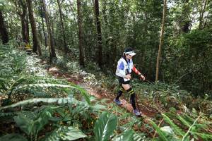 BIB: 
                            <button type="button" onclick="openModal(22561271)" class="btn btn-primary btn-sm float-right btn-popup" data-toggle="modal" data-target=".modal-high-quality">
                        <i class="fas fa-shopping-cart"></i> Add to Cart
                    </button>
                                            <button type="button" onclick="isThisMe(22561271, true)" class="btn btn-success btn-sm float-right btn-popup btn-isme hidden" data-toggle="tooltip" data-placement="bottom" title="นี่คือรูปของคุณใช่ไหม คลิกที่นี่เพื่อเอาเข้าอัลบั้ม">
                        <i class="fas fa-plus"></i> Add to album
                    </button>
                    <button type="button" onclick="isThisMe(22561271, false)" class="btn btn-warning btn-sm float-right btn-popup btn-isnotme hidden">
                        <i class="fas fa-ban"></i> Remove from album
                    </button>