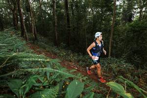 BIB: 
                            <button type="button" onclick="openModal(22533327)" class="btn btn-primary btn-sm float-right btn-popup" data-toggle="modal" data-target=".modal-high-quality">
                        <i class="fas fa-shopping-cart"></i> Add to Cart
                    </button>
                                            <button type="button" onclick="isThisMe(22533327, true)" class="btn btn-success btn-sm float-right btn-popup btn-isme hidden" data-toggle="tooltip" data-placement="bottom" title="นี่คือรูปของคุณใช่ไหม คลิกที่นี่เพื่อเอาเข้าอัลบั้ม">
                        <i class="fas fa-plus"></i> Add to album
                    </button>
                    <button type="button" onclick="isThisMe(22533327, false)" class="btn btn-warning btn-sm float-right btn-popup btn-isnotme hidden">
                        <i class="fas fa-ban"></i> Remove from album
                    </button>