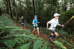 BIB: 
                            <button type="button" onclick="openModal(22538787)" class="btn btn-primary btn-sm float-right btn-popup" data-toggle="modal" data-target=".modal-high-quality">
                        <i class="fas fa-shopping-cart"></i> Add to Cart
                    </button>
                                            <button type="button" onclick="isThisMe(22538787, true)" class="btn btn-success btn-sm float-right btn-popup btn-isme hidden" data-toggle="tooltip" data-placement="bottom" title="นี่คือรูปของคุณใช่ไหม คลิกที่นี่เพื่อเอาเข้าอัลบั้ม">
                        <i class="fas fa-plus"></i> Add to album
                    </button>
                    <button type="button" onclick="isThisMe(22538787, false)" class="btn btn-warning btn-sm float-right btn-popup btn-isnotme hidden">
                        <i class="fas fa-ban"></i> Remove from album
                    </button>