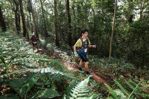 BIB: 
                            <button type="button" onclick="openModal(22546948)" class="btn btn-primary btn-sm float-right btn-popup" data-toggle="modal" data-target=".modal-high-quality">
                        <i class="fas fa-shopping-cart"></i> Add to Cart
                    </button>
                                            <button type="button" onclick="isThisMe(22546948, true)" class="btn btn-success btn-sm float-right btn-popup btn-isme hidden" data-toggle="tooltip" data-placement="bottom" title="นี่คือรูปของคุณใช่ไหม คลิกที่นี่เพื่อเอาเข้าอัลบั้ม">
                        <i class="fas fa-plus"></i> Add to album
                    </button>
                    <button type="button" onclick="isThisMe(22546948, false)" class="btn btn-warning btn-sm float-right btn-popup btn-isnotme hidden">
                        <i class="fas fa-ban"></i> Remove from album
                    </button>