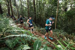 BIB: 
                            <button type="button" onclick="openModal(22547481)" class="btn btn-primary btn-sm float-right btn-popup" data-toggle="modal" data-target=".modal-high-quality">
                        <i class="fas fa-shopping-cart"></i> Add to Cart
                    </button>
                                            <button type="button" onclick="isThisMe(22547481, true)" class="btn btn-success btn-sm float-right btn-popup btn-isme hidden" data-toggle="tooltip" data-placement="bottom" title="นี่คือรูปของคุณใช่ไหม คลิกที่นี่เพื่อเอาเข้าอัลบั้ม">
                        <i class="fas fa-plus"></i> Add to album
                    </button>
                    <button type="button" onclick="isThisMe(22547481, false)" class="btn btn-warning btn-sm float-right btn-popup btn-isnotme hidden">
                        <i class="fas fa-ban"></i> Remove from album
                    </button>