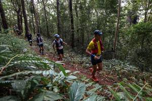 BIB: 
                            <button type="button" onclick="openModal(22564462)" class="btn btn-primary btn-sm float-right btn-popup" data-toggle="modal" data-target=".modal-high-quality">
                        <i class="fas fa-shopping-cart"></i> Add to Cart
                    </button>
                                            <button type="button" onclick="isThisMe(22564462, true)" class="btn btn-success btn-sm float-right btn-popup btn-isme hidden" data-toggle="tooltip" data-placement="bottom" title="นี่คือรูปของคุณใช่ไหม คลิกที่นี่เพื่อเอาเข้าอัลบั้ม">
                        <i class="fas fa-plus"></i> Add to album
                    </button>
                    <button type="button" onclick="isThisMe(22564462, false)" class="btn btn-warning btn-sm float-right btn-popup btn-isnotme hidden">
                        <i class="fas fa-ban"></i> Remove from album
                    </button>