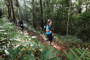 BIB: 
                            <button type="button" onclick="openModal(22545360)" class="btn btn-primary btn-sm float-right btn-popup" data-toggle="modal" data-target=".modal-high-quality">
                        <i class="fas fa-shopping-cart"></i> Add to Cart
                    </button>
                                            <button type="button" onclick="isThisMe(22545360, true)" class="btn btn-success btn-sm float-right btn-popup btn-isme hidden" data-toggle="tooltip" data-placement="bottom" title="นี่คือรูปของคุณใช่ไหม คลิกที่นี่เพื่อเอาเข้าอัลบั้ม">
                        <i class="fas fa-plus"></i> Add to album
                    </button>
                    <button type="button" onclick="isThisMe(22545360, false)" class="btn btn-warning btn-sm float-right btn-popup btn-isnotme hidden">
                        <i class="fas fa-ban"></i> Remove from album
                    </button>