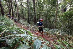 BIB: 
                            <button type="button" onclick="openModal(22564637)" class="btn btn-primary btn-sm float-right btn-popup" data-toggle="modal" data-target=".modal-high-quality">
                        <i class="fas fa-shopping-cart"></i> Add to Cart
                    </button>
                                            <button type="button" onclick="isThisMe(22564637, true)" class="btn btn-success btn-sm float-right btn-popup btn-isme hidden" data-toggle="tooltip" data-placement="bottom" title="นี่คือรูปของคุณใช่ไหม คลิกที่นี่เพื่อเอาเข้าอัลบั้ม">
                        <i class="fas fa-plus"></i> Add to album
                    </button>
                    <button type="button" onclick="isThisMe(22564637, false)" class="btn btn-warning btn-sm float-right btn-popup btn-isnotme hidden">
                        <i class="fas fa-ban"></i> Remove from album
                    </button>