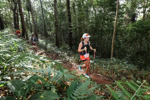 BIB: 
                            <button type="button" onclick="openModal(22545887)" class="btn btn-primary btn-sm float-right btn-popup" data-toggle="modal" data-target=".modal-high-quality">
                        <i class="fas fa-shopping-cart"></i> Add to Cart
                    </button>
                                            <button type="button" onclick="isThisMe(22545887, true)" class="btn btn-success btn-sm float-right btn-popup btn-isme hidden" data-toggle="tooltip" data-placement="bottom" title="นี่คือรูปของคุณใช่ไหม คลิกที่นี่เพื่อเอาเข้าอัลบั้ม">
                        <i class="fas fa-plus"></i> Add to album
                    </button>
                    <button type="button" onclick="isThisMe(22545887, false)" class="btn btn-warning btn-sm float-right btn-popup btn-isnotme hidden">
                        <i class="fas fa-ban"></i> Remove from album
                    </button>