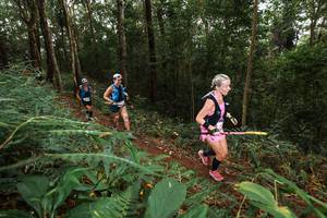 BIB: 
                            <button type="button" onclick="openModal(22534443)" class="btn btn-primary btn-sm float-right btn-popup" data-toggle="modal" data-target=".modal-high-quality">
                        <i class="fas fa-shopping-cart"></i> Add to Cart
                    </button>
                                            <button type="button" onclick="isThisMe(22534443, true)" class="btn btn-success btn-sm float-right btn-popup btn-isme hidden" data-toggle="tooltip" data-placement="bottom" title="นี่คือรูปของคุณใช่ไหม คลิกที่นี่เพื่อเอาเข้าอัลบั้ม">
                        <i class="fas fa-plus"></i> Add to album
                    </button>
                    <button type="button" onclick="isThisMe(22534443, false)" class="btn btn-warning btn-sm float-right btn-popup btn-isnotme hidden">
                        <i class="fas fa-ban"></i> Remove from album
                    </button>