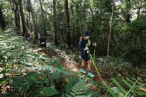 BIB: 
                            <button type="button" onclick="openModal(22546543)" class="btn btn-primary btn-sm float-right btn-popup" data-toggle="modal" data-target=".modal-high-quality">
                        <i class="fas fa-shopping-cart"></i> Add to Cart
                    </button>
                                            <button type="button" onclick="isThisMe(22546543, true)" class="btn btn-success btn-sm float-right btn-popup btn-isme hidden" data-toggle="tooltip" data-placement="bottom" title="นี่คือรูปของคุณใช่ไหม คลิกที่นี่เพื่อเอาเข้าอัลบั้ม">
                        <i class="fas fa-plus"></i> Add to album
                    </button>
                    <button type="button" onclick="isThisMe(22546543, false)" class="btn btn-warning btn-sm float-right btn-popup btn-isnotme hidden">
                        <i class="fas fa-ban"></i> Remove from album
                    </button>