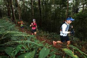 BIB: 
                            <button type="button" onclick="openModal(22533295)" class="btn btn-primary btn-sm float-right btn-popup" data-toggle="modal" data-target=".modal-high-quality">
                        <i class="fas fa-shopping-cart"></i> Add to Cart
                    </button>
                                            <button type="button" onclick="isThisMe(22533295, true)" class="btn btn-success btn-sm float-right btn-popup btn-isme hidden" data-toggle="tooltip" data-placement="bottom" title="นี่คือรูปของคุณใช่ไหม คลิกที่นี่เพื่อเอาเข้าอัลบั้ม">
                        <i class="fas fa-plus"></i> Add to album
                    </button>
                    <button type="button" onclick="isThisMe(22533295, false)" class="btn btn-warning btn-sm float-right btn-popup btn-isnotme hidden">
                        <i class="fas fa-ban"></i> Remove from album
                    </button>