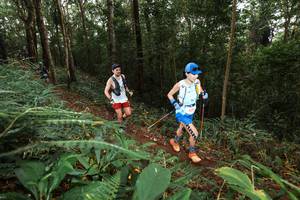 BIB: 
                            <button type="button" onclick="openModal(22533234)" class="btn btn-primary btn-sm float-right btn-popup" data-toggle="modal" data-target=".modal-high-quality">
                        <i class="fas fa-shopping-cart"></i> Add to Cart
                    </button>
                                            <button type="button" onclick="isThisMe(22533234, true)" class="btn btn-success btn-sm float-right btn-popup btn-isme hidden" data-toggle="tooltip" data-placement="bottom" title="นี่คือรูปของคุณใช่ไหม คลิกที่นี่เพื่อเอาเข้าอัลบั้ม">
                        <i class="fas fa-plus"></i> Add to album
                    </button>
                    <button type="button" onclick="isThisMe(22533234, false)" class="btn btn-warning btn-sm float-right btn-popup btn-isnotme hidden">
                        <i class="fas fa-ban"></i> Remove from album
                    </button>