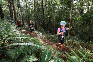 BIB: 
                            <button type="button" onclick="openModal(22547324)" class="btn btn-primary btn-sm float-right btn-popup" data-toggle="modal" data-target=".modal-high-quality">
                        <i class="fas fa-shopping-cart"></i> Add to Cart
                    </button>
                                            <button type="button" onclick="isThisMe(22547324, true)" class="btn btn-success btn-sm float-right btn-popup btn-isme hidden" data-toggle="tooltip" data-placement="bottom" title="นี่คือรูปของคุณใช่ไหม คลิกที่นี่เพื่อเอาเข้าอัลบั้ม">
                        <i class="fas fa-plus"></i> Add to album
                    </button>
                    <button type="button" onclick="isThisMe(22547324, false)" class="btn btn-warning btn-sm float-right btn-popup btn-isnotme hidden">
                        <i class="fas fa-ban"></i> Remove from album
                    </button>