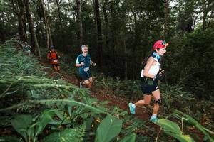 BIB: 
                            <button type="button" onclick="openModal(22538245)" class="btn btn-primary btn-sm float-right btn-popup" data-toggle="modal" data-target=".modal-high-quality">
                        <i class="fas fa-shopping-cart"></i> Add to Cart
                    </button>
                                            <button type="button" onclick="isThisMe(22538245, true)" class="btn btn-success btn-sm float-right btn-popup btn-isme hidden" data-toggle="tooltip" data-placement="bottom" title="นี่คือรูปของคุณใช่ไหม คลิกที่นี่เพื่อเอาเข้าอัลบั้ม">
                        <i class="fas fa-plus"></i> Add to album
                    </button>
                    <button type="button" onclick="isThisMe(22538245, false)" class="btn btn-warning btn-sm float-right btn-popup btn-isnotme hidden">
                        <i class="fas fa-ban"></i> Remove from album
                    </button>