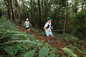 BIB: 
                            <button type="button" onclick="openModal(22534730)" class="btn btn-primary btn-sm float-right btn-popup" data-toggle="modal" data-target=".modal-high-quality">
                        <i class="fas fa-shopping-cart"></i> Add to Cart
                    </button>
                                            <button type="button" onclick="isThisMe(22534730, true)" class="btn btn-success btn-sm float-right btn-popup btn-isme hidden" data-toggle="tooltip" data-placement="bottom" title="นี่คือรูปของคุณใช่ไหม คลิกที่นี่เพื่อเอาเข้าอัลบั้ม">
                        <i class="fas fa-plus"></i> Add to album
                    </button>
                    <button type="button" onclick="isThisMe(22534730, false)" class="btn btn-warning btn-sm float-right btn-popup btn-isnotme hidden">
                        <i class="fas fa-ban"></i> Remove from album
                    </button>