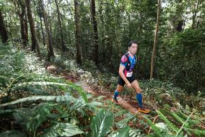 BIB: 
                            <button type="button" onclick="openModal(22562632)" class="btn btn-primary btn-sm float-right btn-popup" data-toggle="modal" data-target=".modal-high-quality">
                        <i class="fas fa-shopping-cart"></i> Add to Cart
                    </button>
                                            <button type="button" onclick="isThisMe(22562632, true)" class="btn btn-success btn-sm float-right btn-popup btn-isme hidden" data-toggle="tooltip" data-placement="bottom" title="นี่คือรูปของคุณใช่ไหม คลิกที่นี่เพื่อเอาเข้าอัลบั้ม">
                        <i class="fas fa-plus"></i> Add to album
                    </button>
                    <button type="button" onclick="isThisMe(22562632, false)" class="btn btn-warning btn-sm float-right btn-popup btn-isnotme hidden">
                        <i class="fas fa-ban"></i> Remove from album
                    </button>